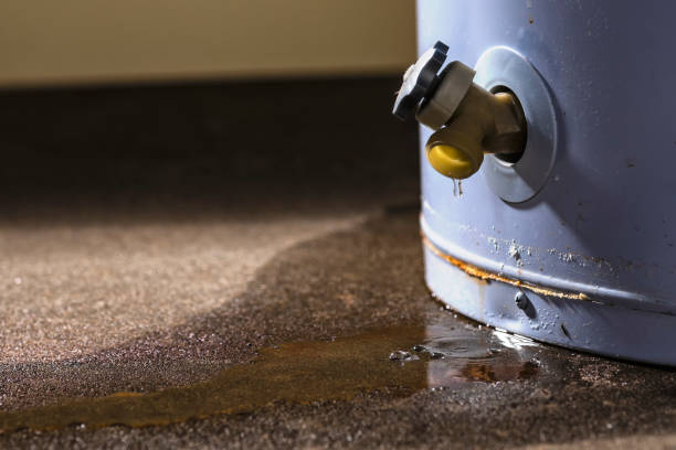 Best Carpet water damage restoration  in Bayou Country Clu, LA