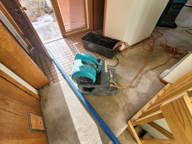 Best Water damage restoration near me  in Bayou Country Clu, LA