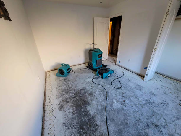 Best Flood restoration services  in Bayou Country Clu, LA