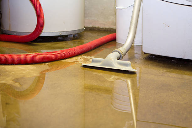 Best Professional water damage repair  in Bayou Country Clu, LA